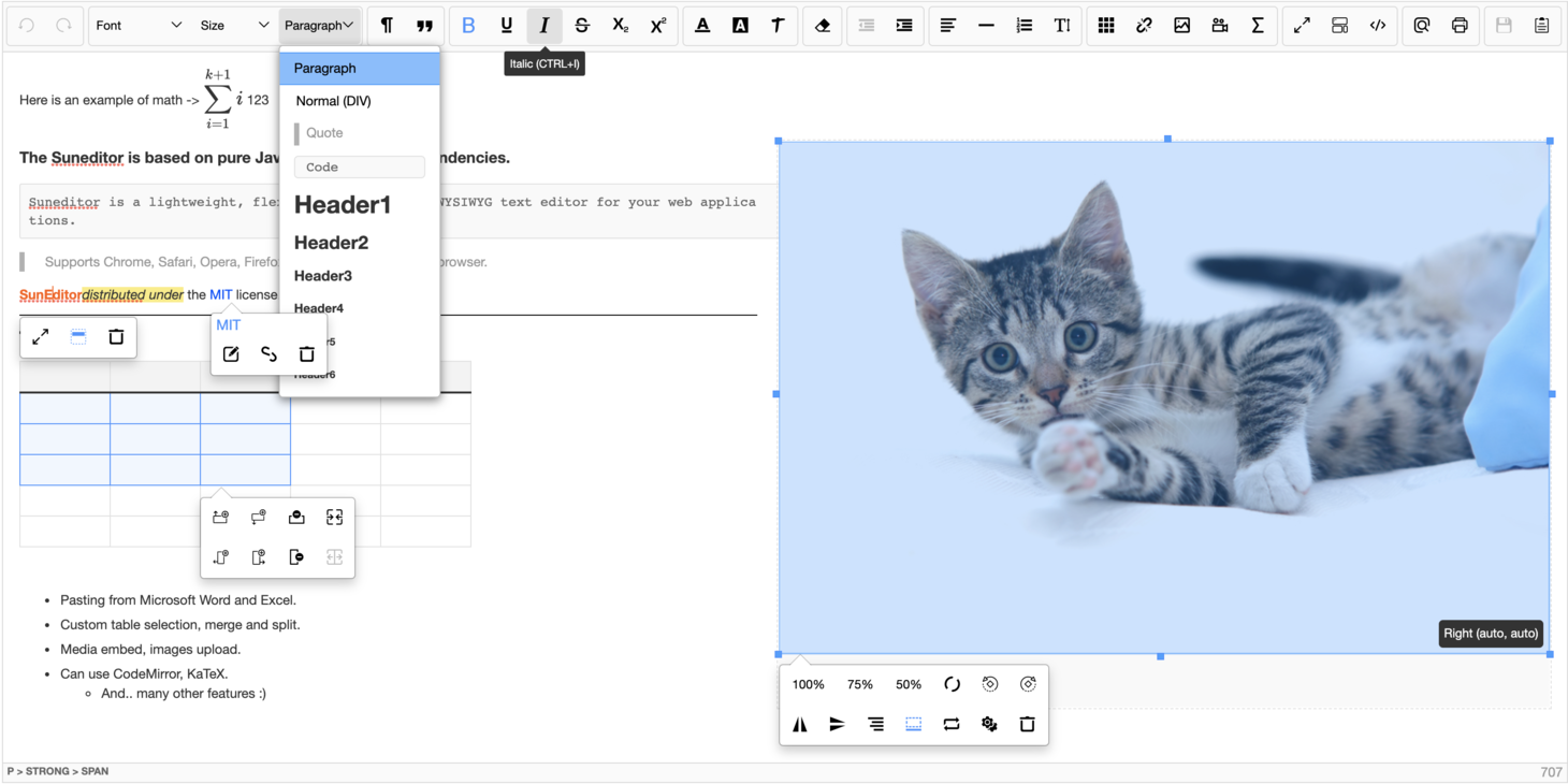 npm.io WYSIWYG HTML Editor