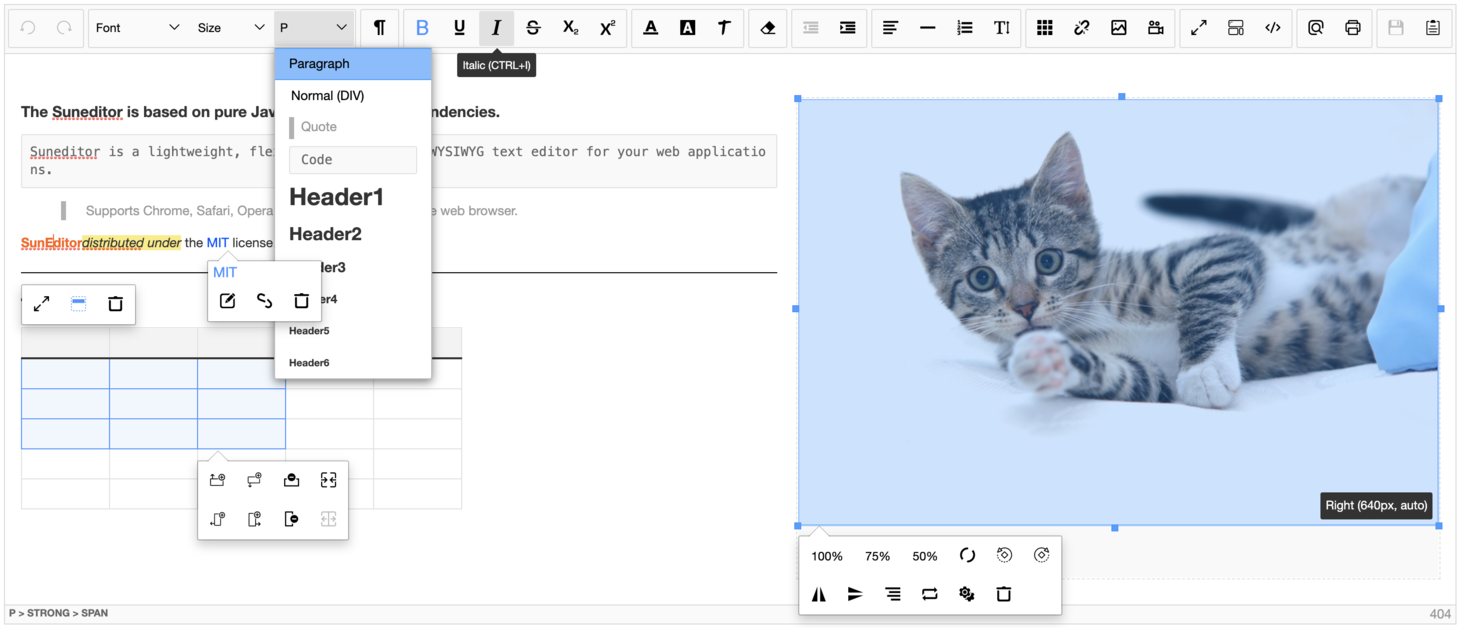 WYSIWYG HTML Editor